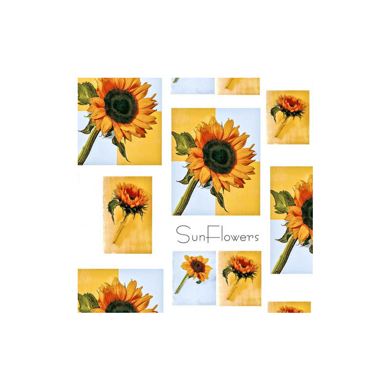 KÄÄREP AUR.KUKKA 75X100 VALK