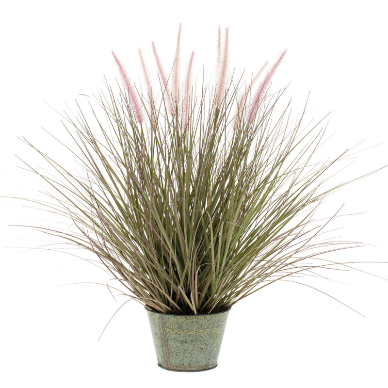 KORISTEHEINÄ SINKKIRUUKUSSA