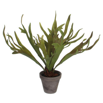 HIRVENSARVISANIAINEN RUUKUSSA K 50