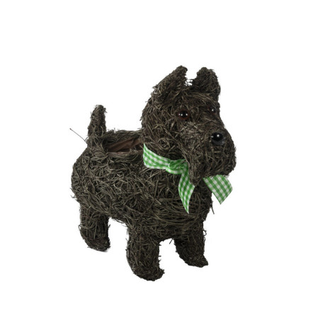 TERRIERI HA SALIM + AUKKO S TERRIERI HA SALIM + AUKKO S