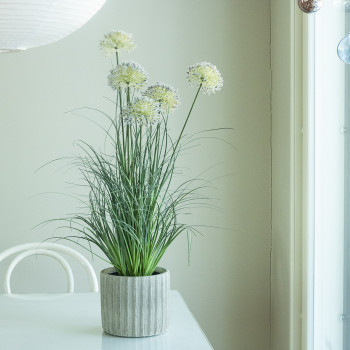 RUOHOSIPULI VA RUUKUSSA