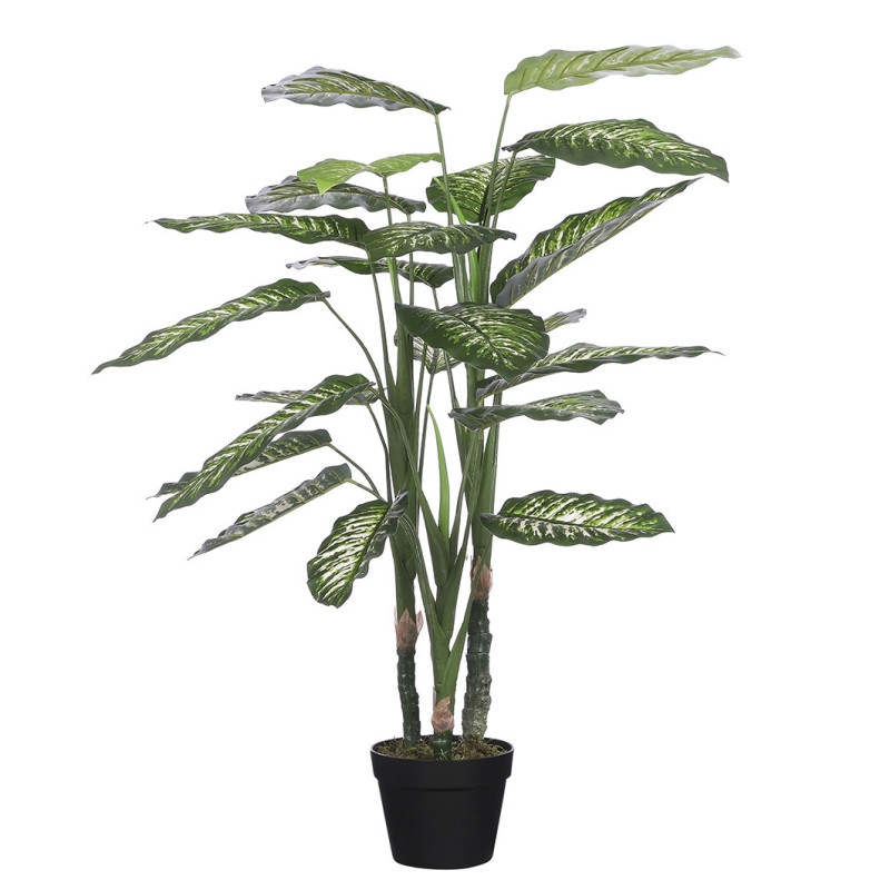 KIRJOVEHKA VI RUUKUSSA K 100