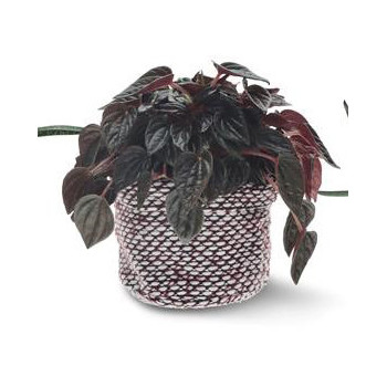 PESÄPSS/10 T.PU-VA KUDOTTU VILLA