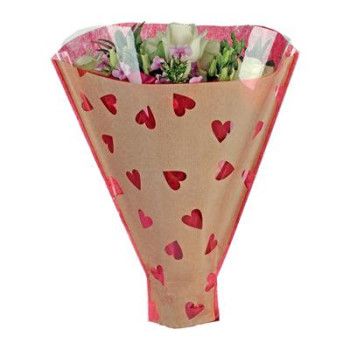 KIMPPUPUSSINPP/50 PU-RU SYDÄMET