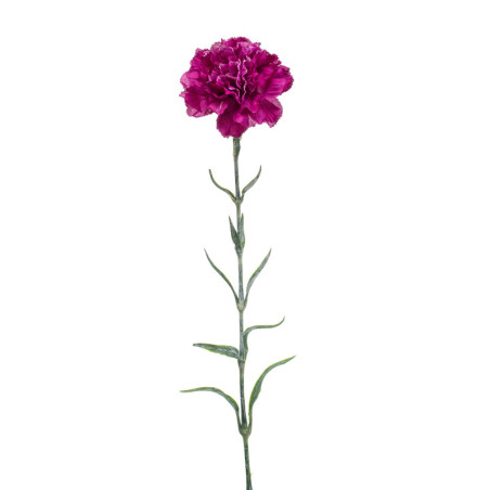 NEILIKKA VIOLETTI NEILIKKA VIOLETTI