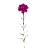 NEILIKKA VIOLETTI NEILIKKA VIOLETTI