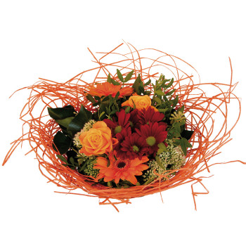 KIMPPUPOH.NPP/10 ORANS. ROTT. 20 CM