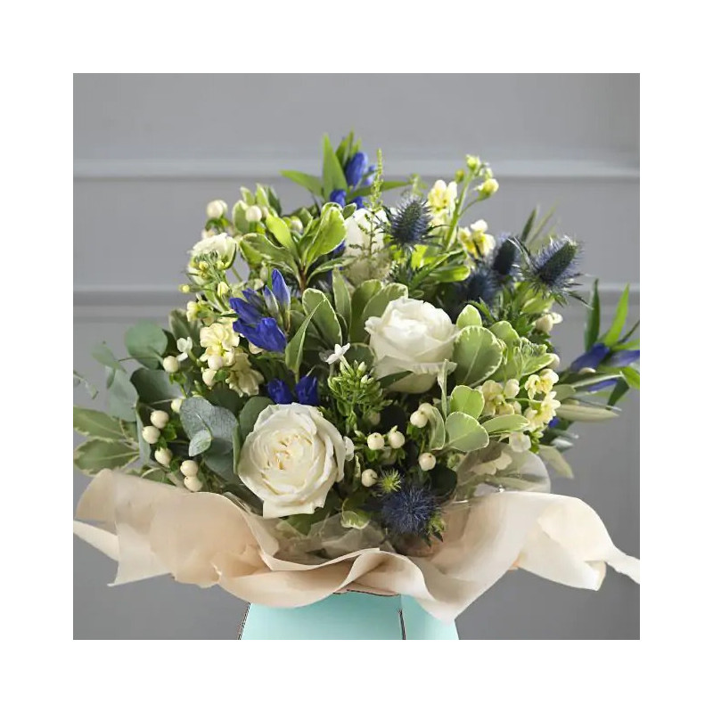 KIMPPUPAPERI KERMA KOMPOSTOITUVA