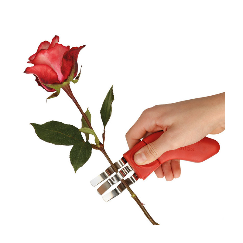 RUUSUN PIIKKIEN POISTAJA