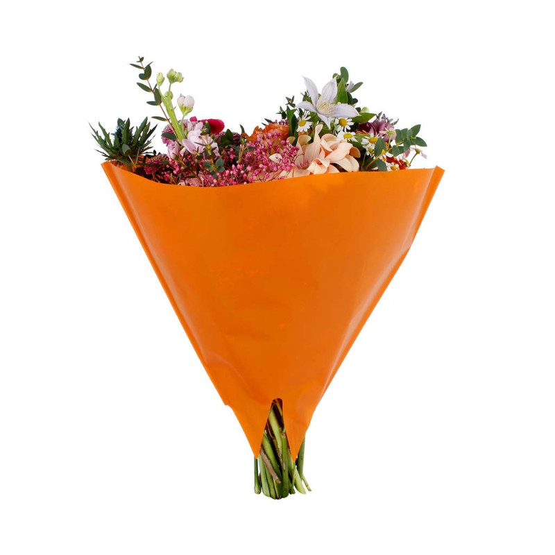 KIMPPUPSS/50 HELMEN ORANSSI