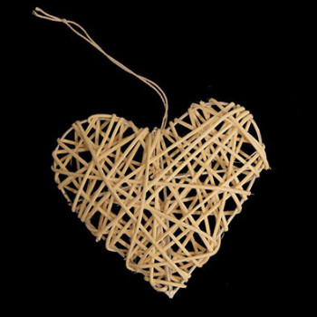 SYDÄNPSS/8 VA ROTTINKI 10CM