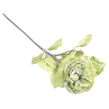 JOULURUUSUOKSA V.VIHREÄ LUMELLA