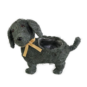 KOIRA ONNI T. HA SALIM M + AUKKO