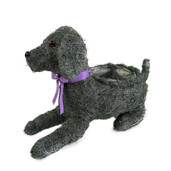 KOIRA LAKU S ODOTTAVA T.HA SALIM