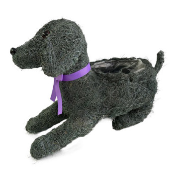 KOIRA LAKU M ODOTTAVA T.HA SALIM