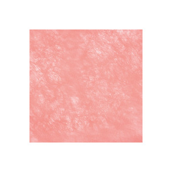 SOMISTUSKANGASRLL VAALEANPUNAINEN