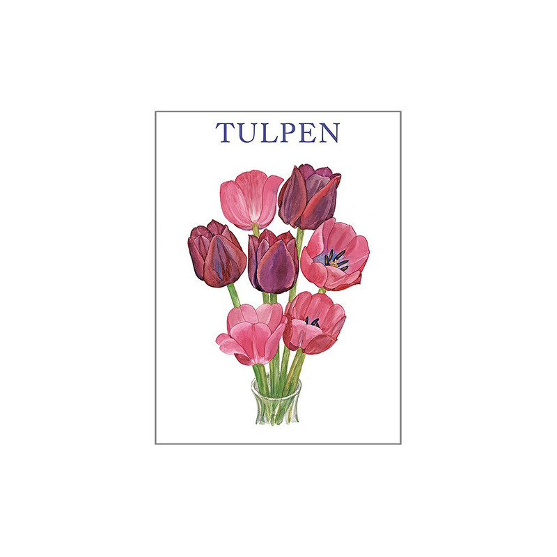 KORTTIPK/8 TULPPAANI