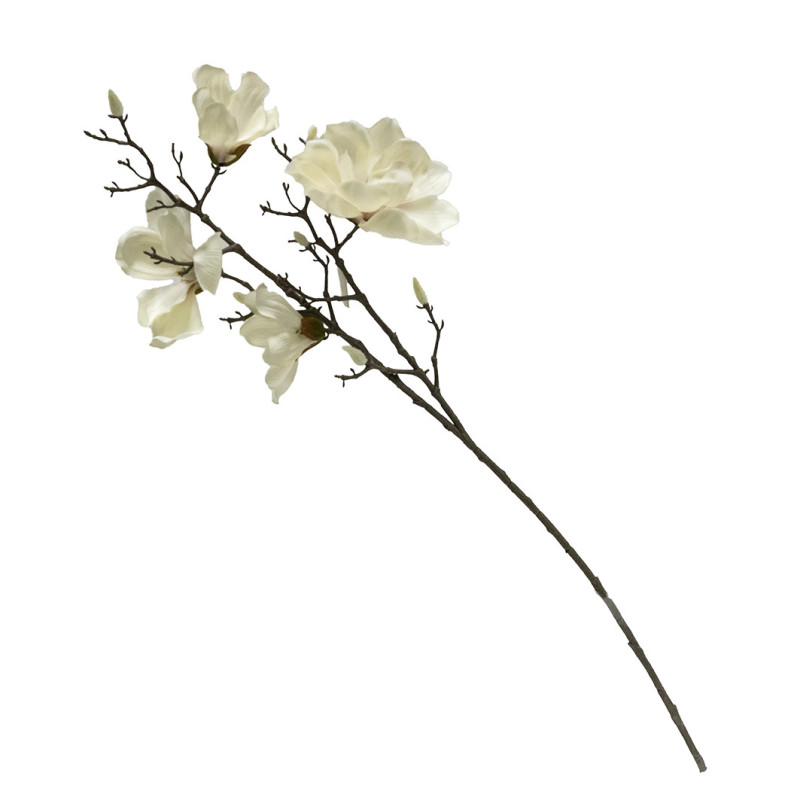 MAGNOLIAOKSA VALKONEN