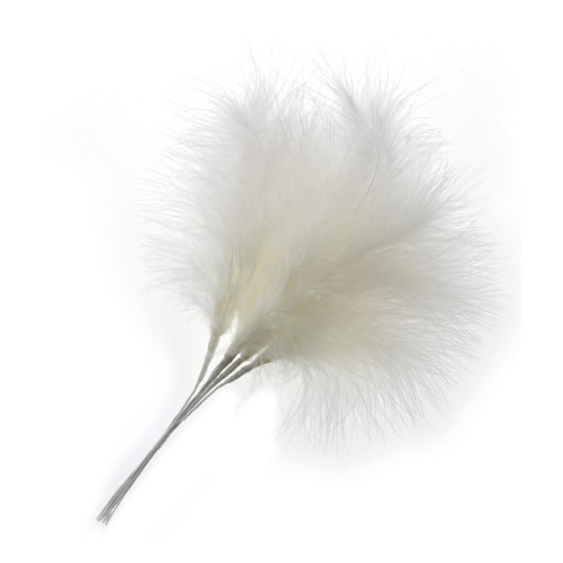 HÖYHENTIKKUPSS/6 SAMPPANJA