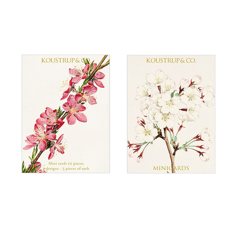 MINIKORTTIPK/10 KIRSIKKA+ KUORET