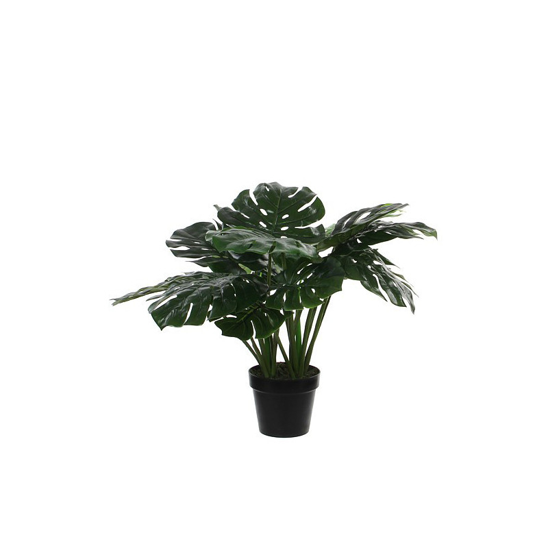 PEIKONLEHTI VIHREÄ RUUKUSSA H80 K60