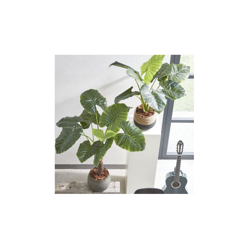 TAROPENSAS VIHREÄ RUUKUSSA H60 K90