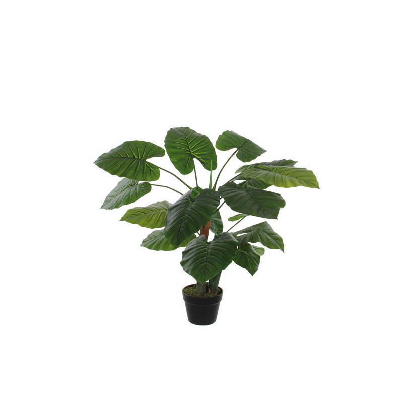 TAROPENSAS VIHREÄ RUUKUSSA H60 K90