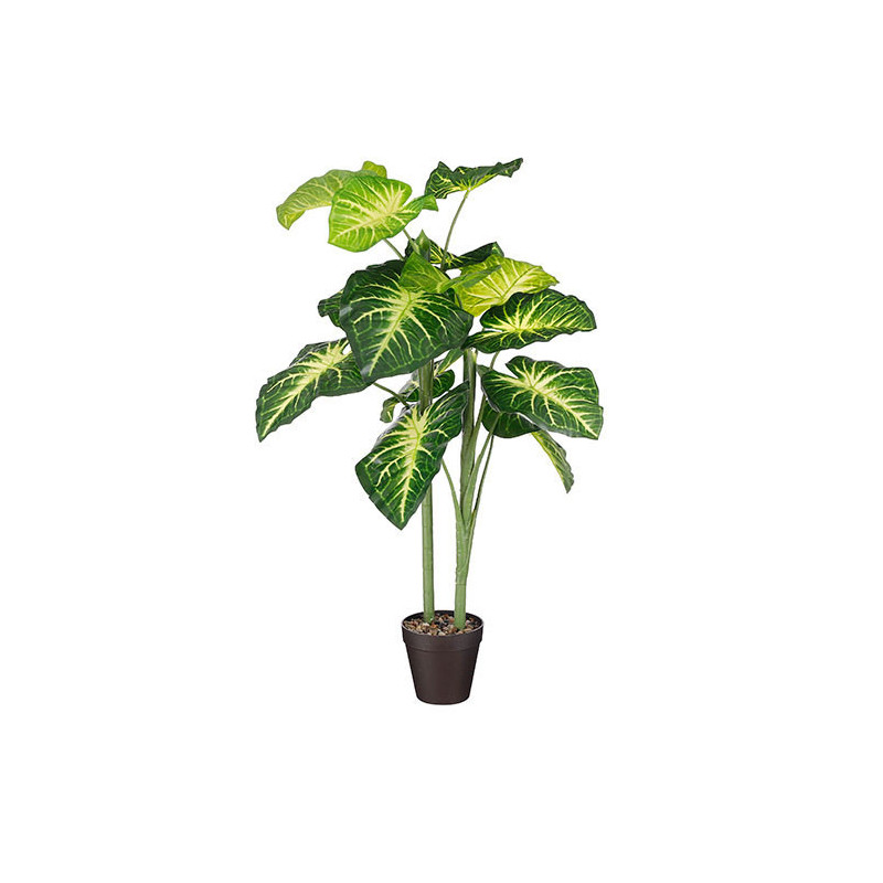 KIRJOLEHTI VIHREÄ RUUKUSSA H50 K100