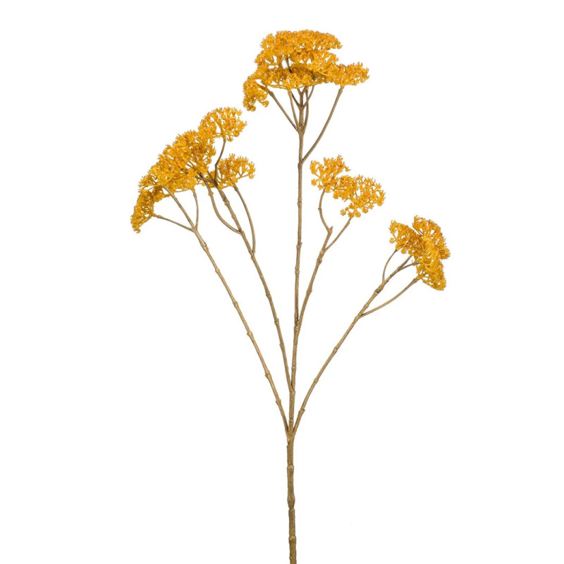 SIANKÄRSÄMÖOKSA SINAPINKEL. K 72 CM