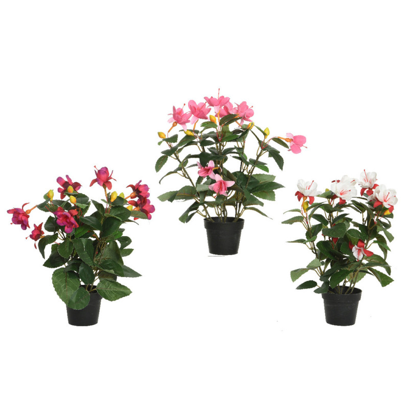 VERENPISARAVÄRILAJ/3 RUUKUSSA