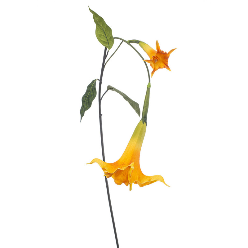 PASUUNAKUKANOKSA KELT P130CM