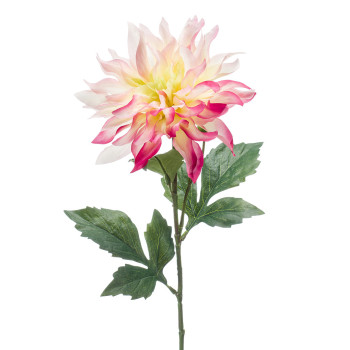 DAHLIANOKSA VPU-PINKKI P60CM