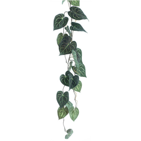 ANTHURIUMINLEHTIKÖYNNÖS VI P105CM ANTHURIUMINLEHTIKÖYNNÖS VI P105CM