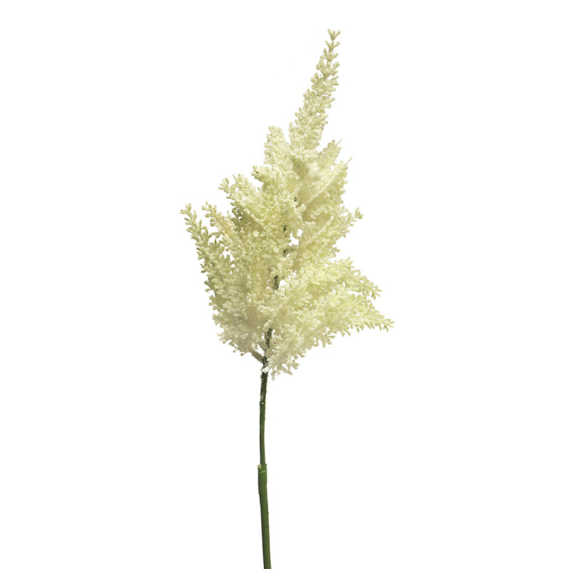 JALOANGERVONOKSA KERMA P70CM