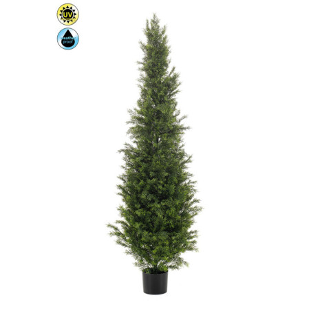 SETRIPUU RUUKUSSA K150CM