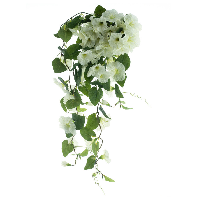 PETUNIA KERMA ROIKKUVA P 79 CM