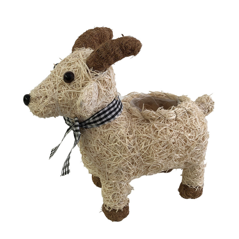 KILIPUKKI VA SALIM + AUKKO