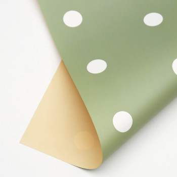 KIMPPUPAPERINPP/20 VI + VA PALLOT