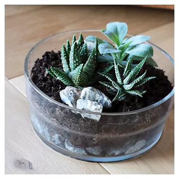 LASIMALJA SACRAMENTO H 19 K 8