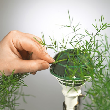 LADY I  3000 SUORA VARSI+VERKKO