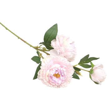 PIONIOKSA VPUN/VLILA P 70 CM