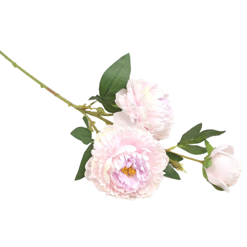 PIONIOKSA VPUN/VLILA P 70 CM