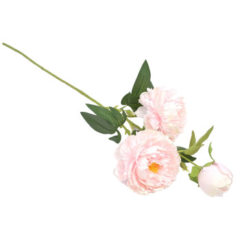 PIONIOKSA VAALEANPUNAINEN P 70 CM