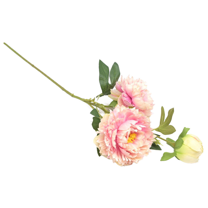 PIONIOKSA PINKKI P 70 CM