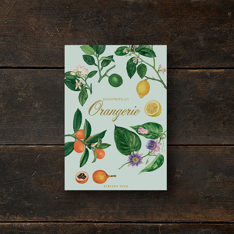 KORTTIPK/8 HEDELMÄT+KUORET