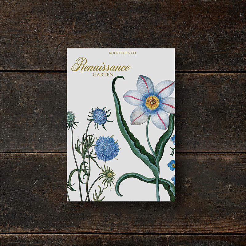 KORTTIPK/8 ERILAISIA KUKKIA + KUORE