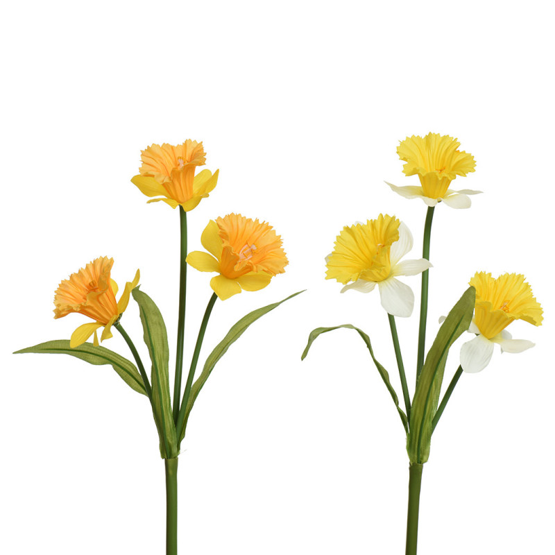 NARSISSISRJ/2 KE+KE-VA