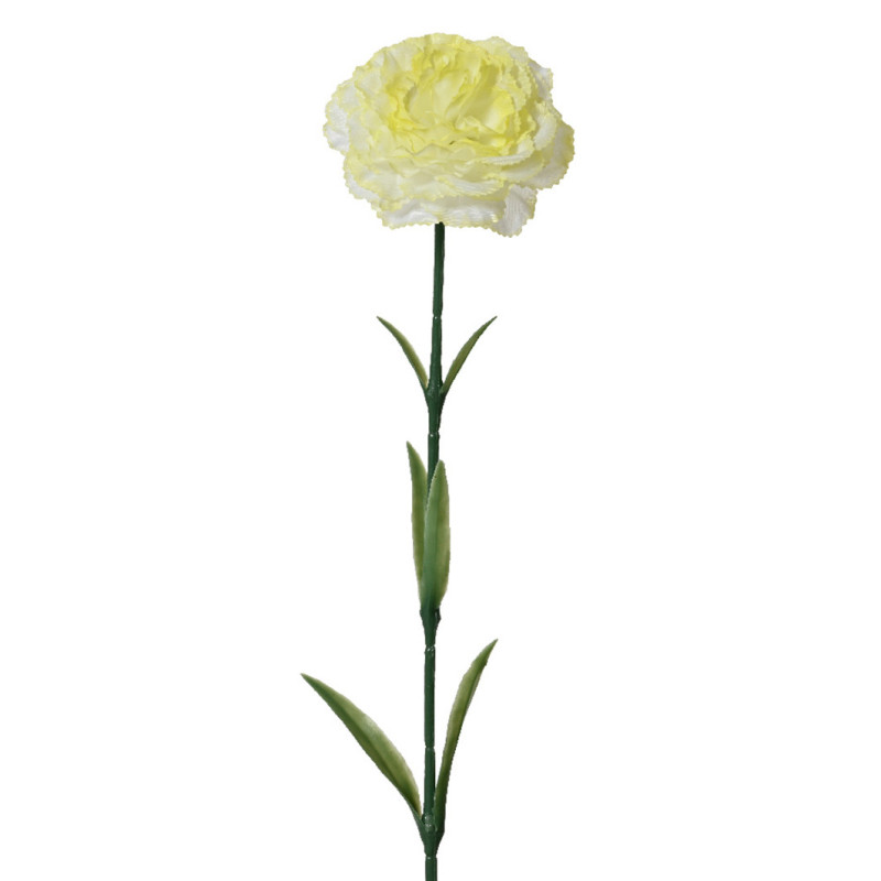 NEILIKKA 2 VÄRINEN VALKO-VKELT P 57