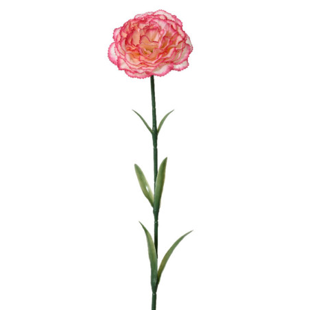 NEILIKKA 2 VÄRINEN VALKO-PINKKI P57