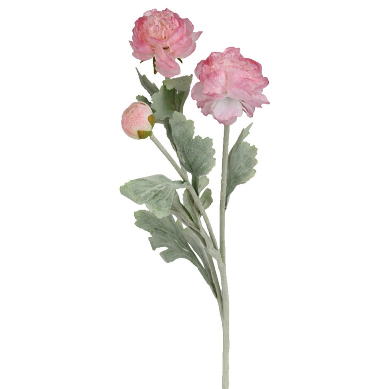 RANUNCULUS VPUN P 51 CM